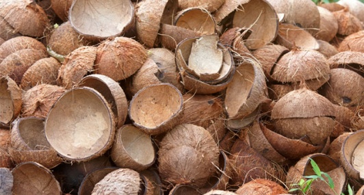 Cách làm than hoạt tính từ gáo dừa